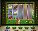 Crazy Monkey автомат игровой - вход на официальный сайт казино Вулкан