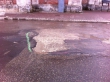В Касимове раскрасили ямы на дорогах
